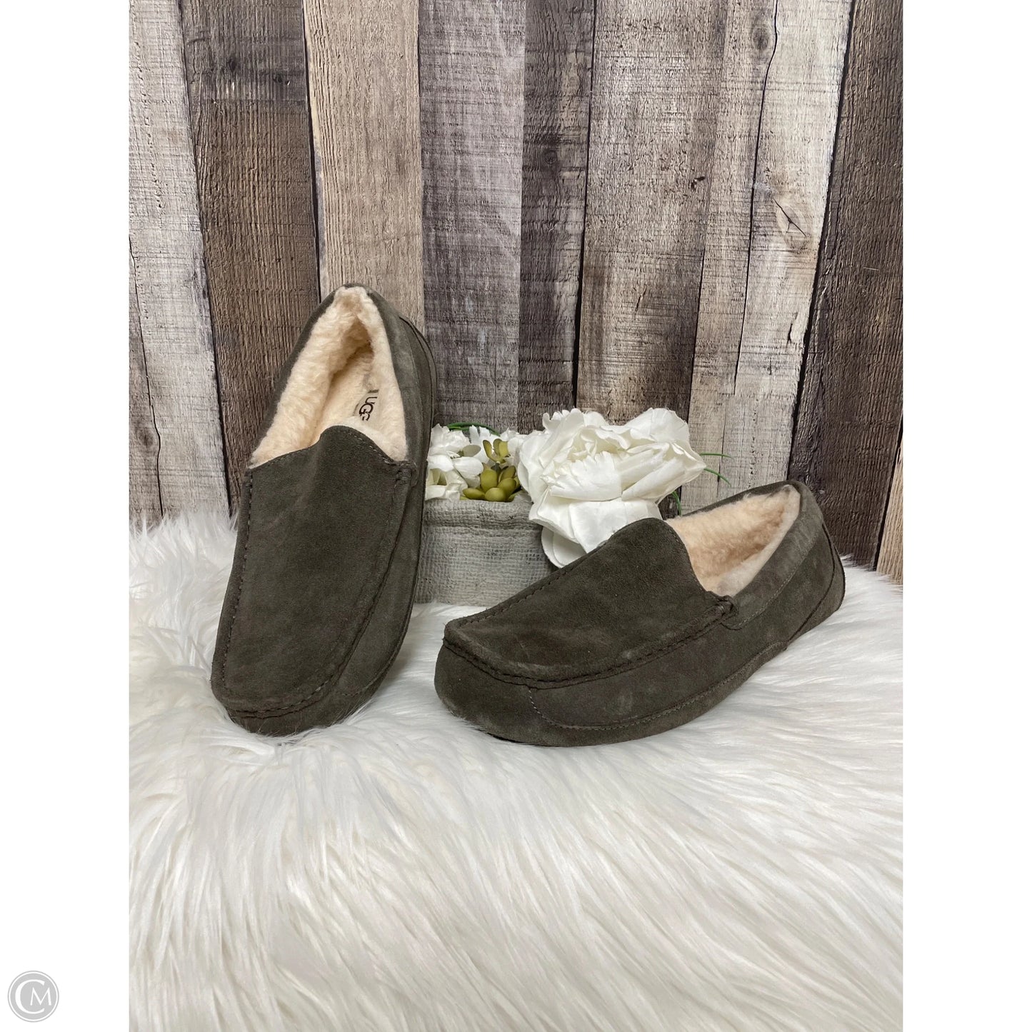 Slippers Designer By Ugg In Grey, Size: 11