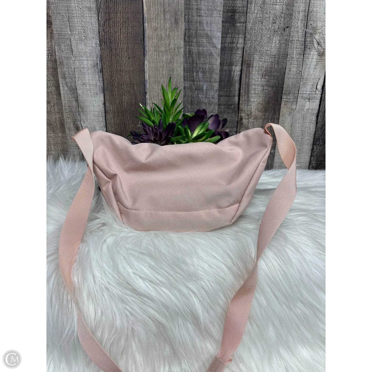 Belt Bag By The North Face, Size: Small
