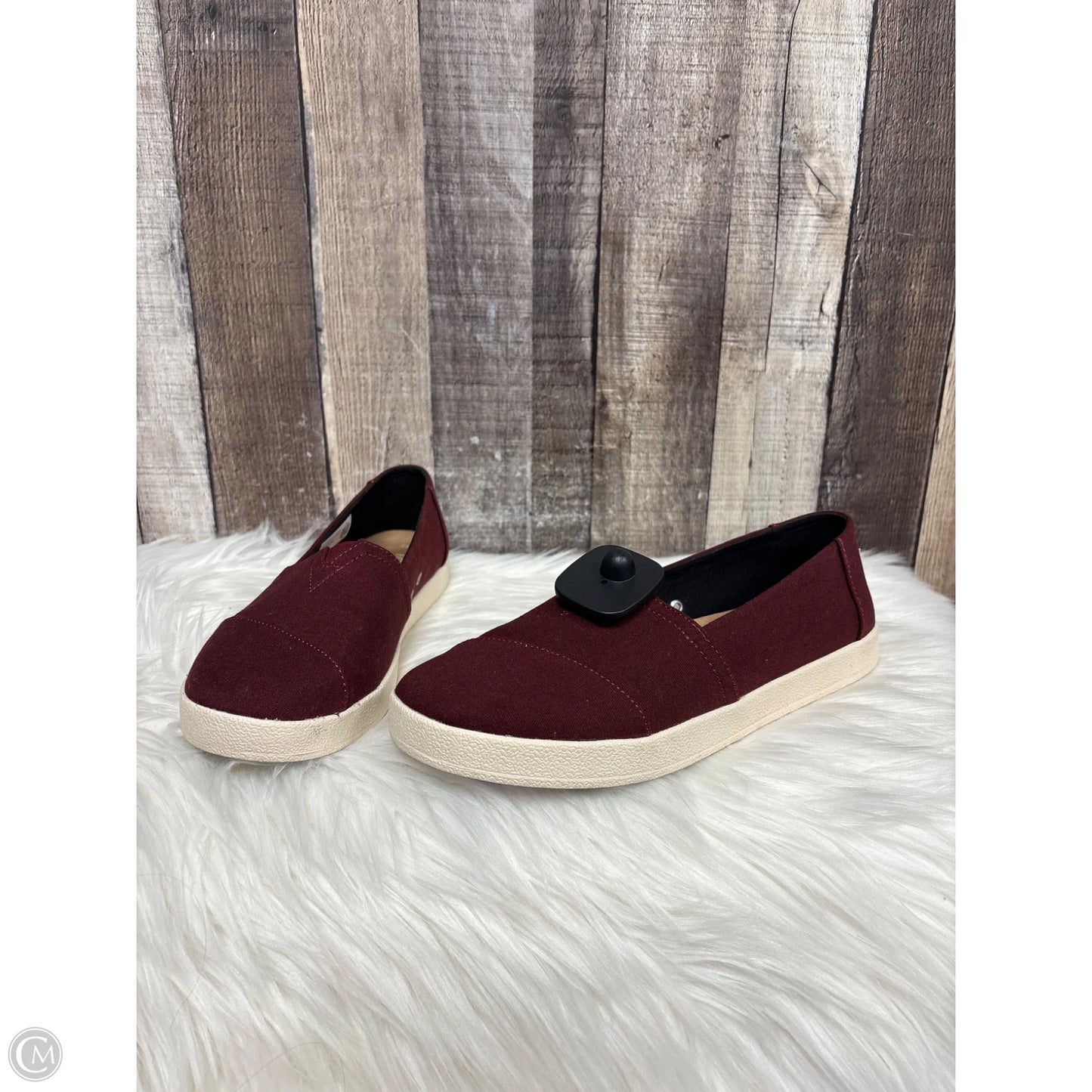Shoes Sneakers By Toms In Maroon, Size: 8.5