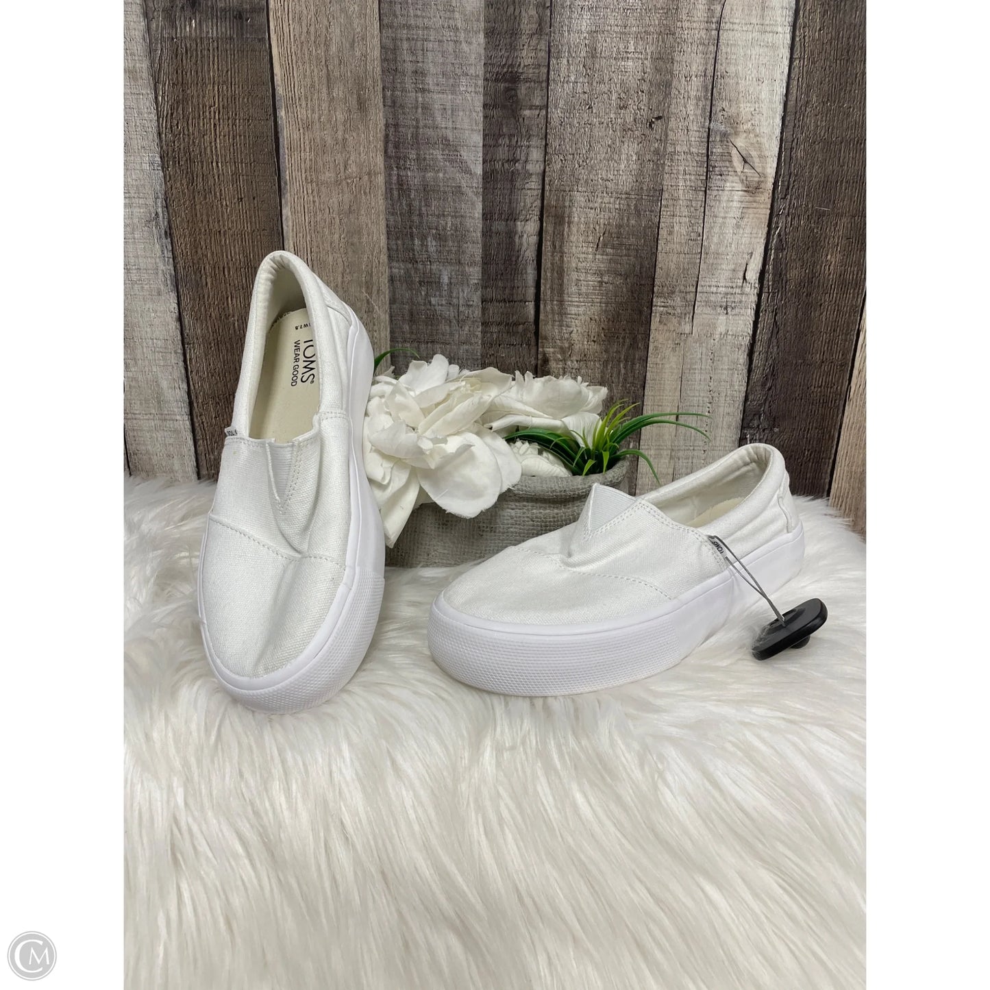Shoes Sneakers By Toms In White, Size: 7.5