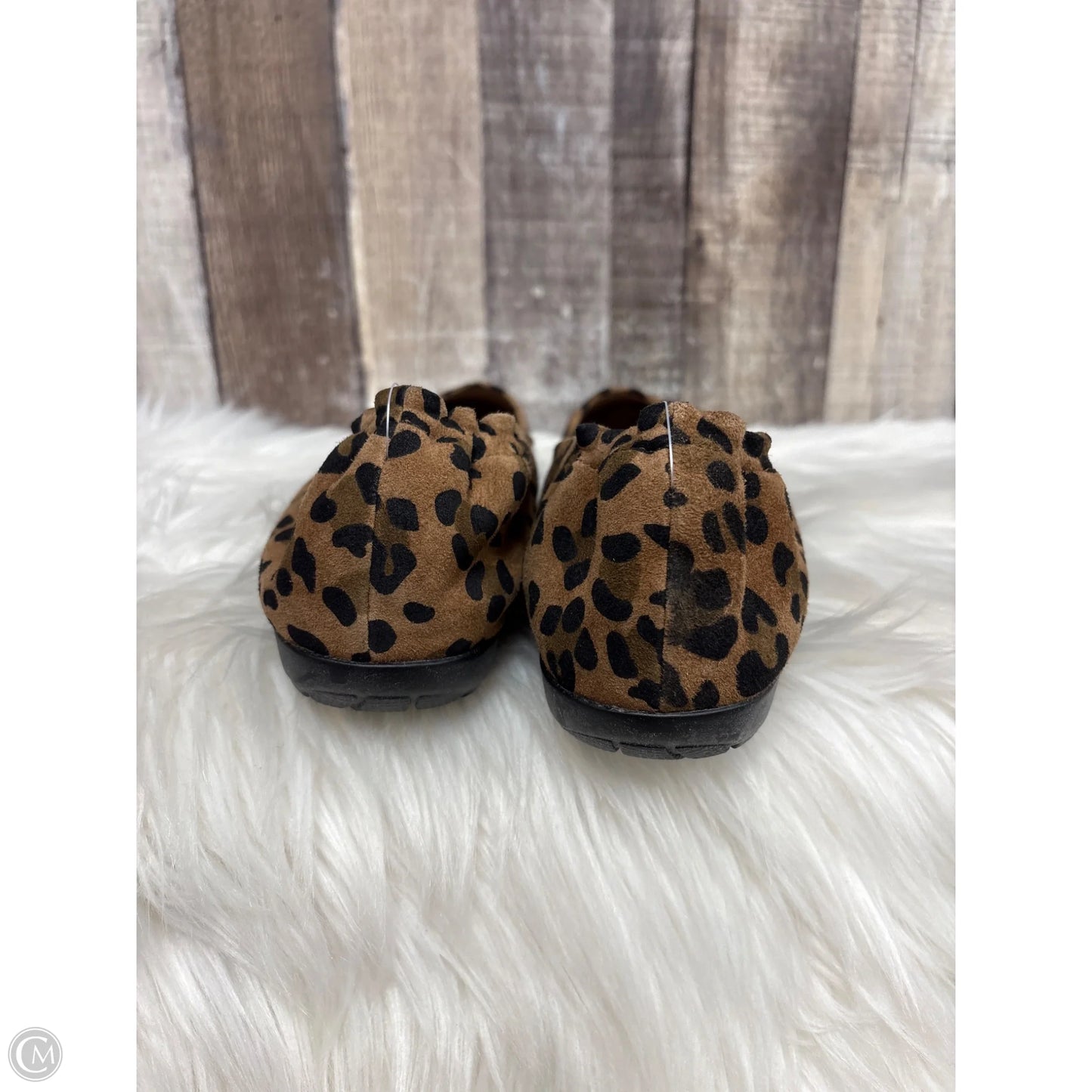 Shoes Flats By Abeo In Animal Print, Size: 10