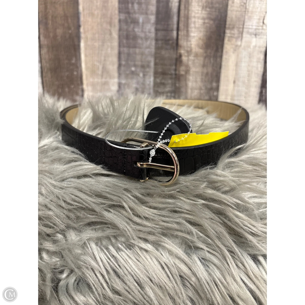 Belt By Cmf, Size: Large