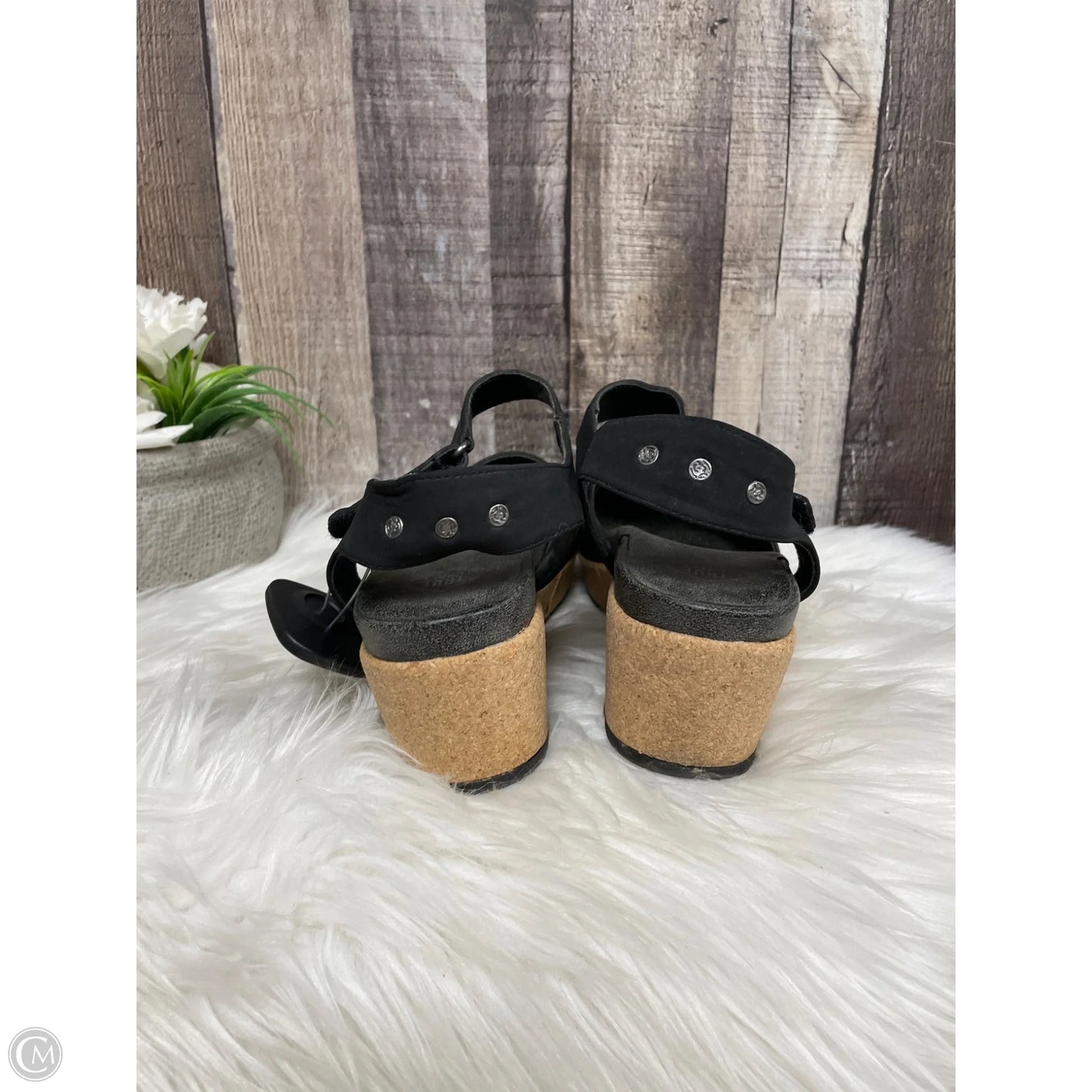 Shoes Heels Block By True Craft In Black, Size: 9