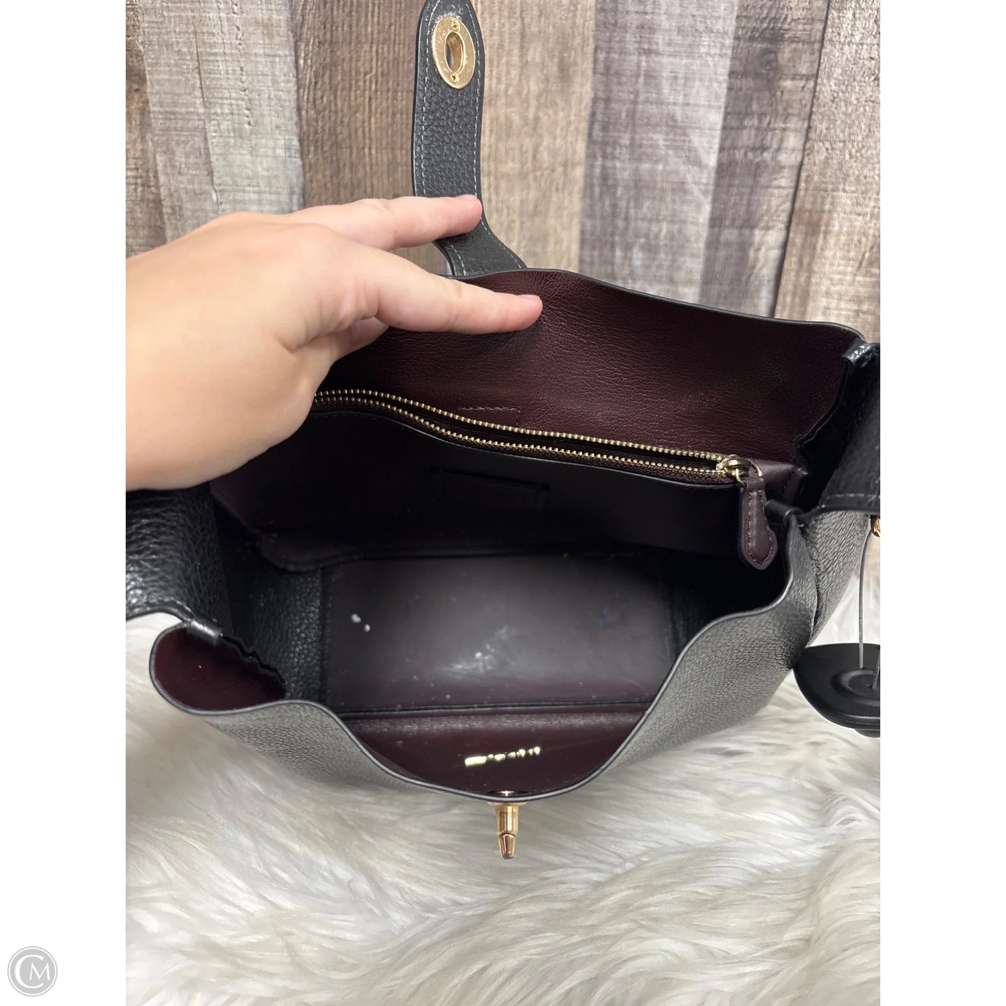 Crossbody Designer By Coach, Size: Medium