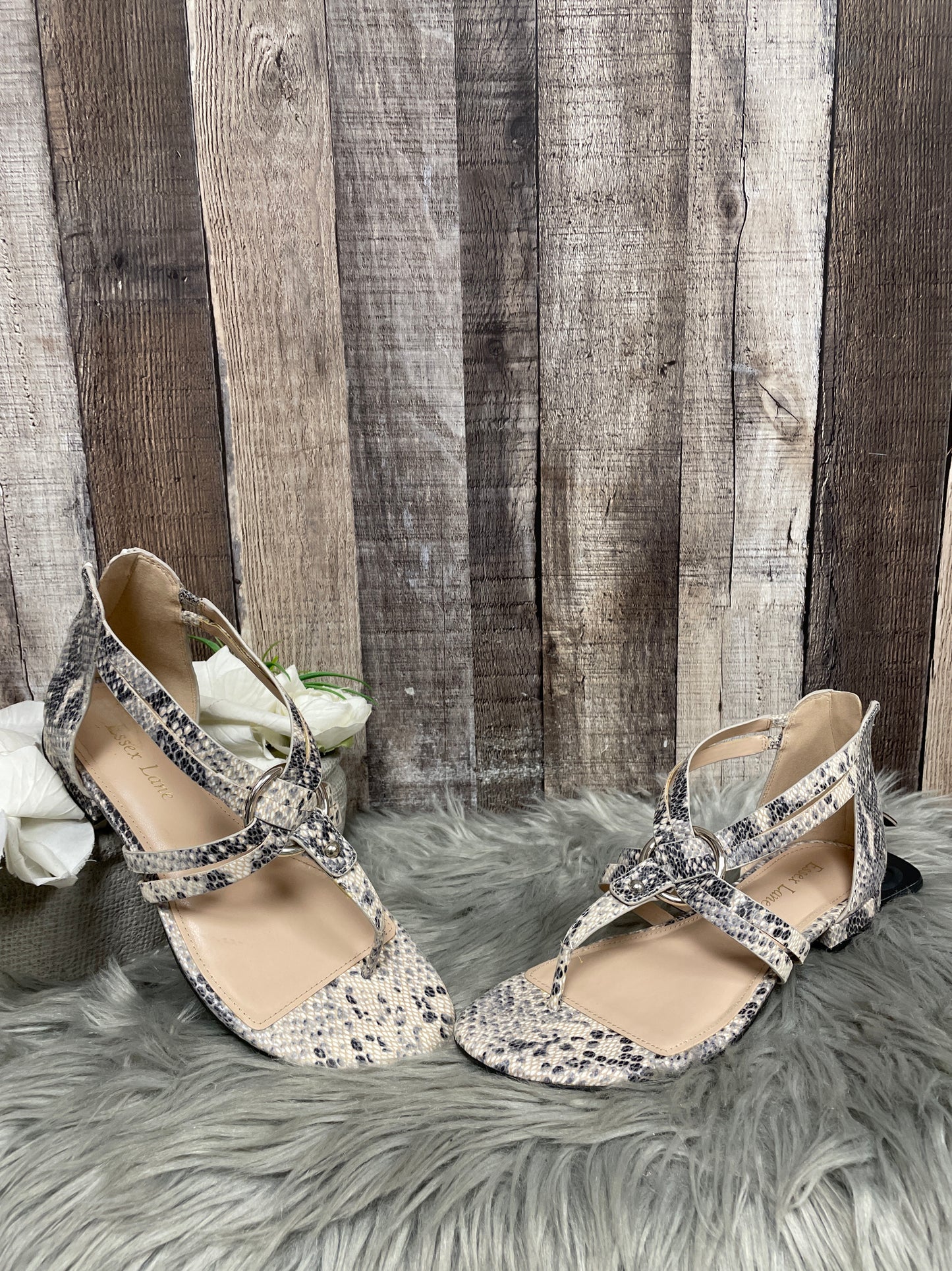 Snakeskin Print Sandals Flats Cme, Size 7