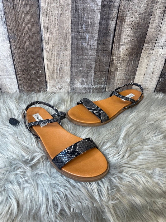 Sandals Flats By Steve Madden  Size: 8.5