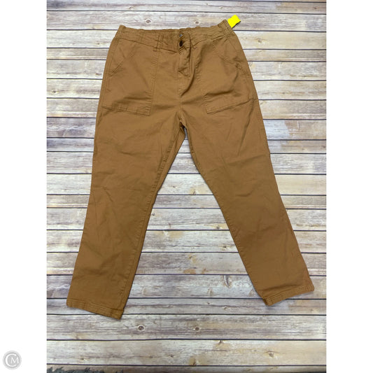 Pants Cargo & Utility By Knox Rose In Orange, Size: Xl