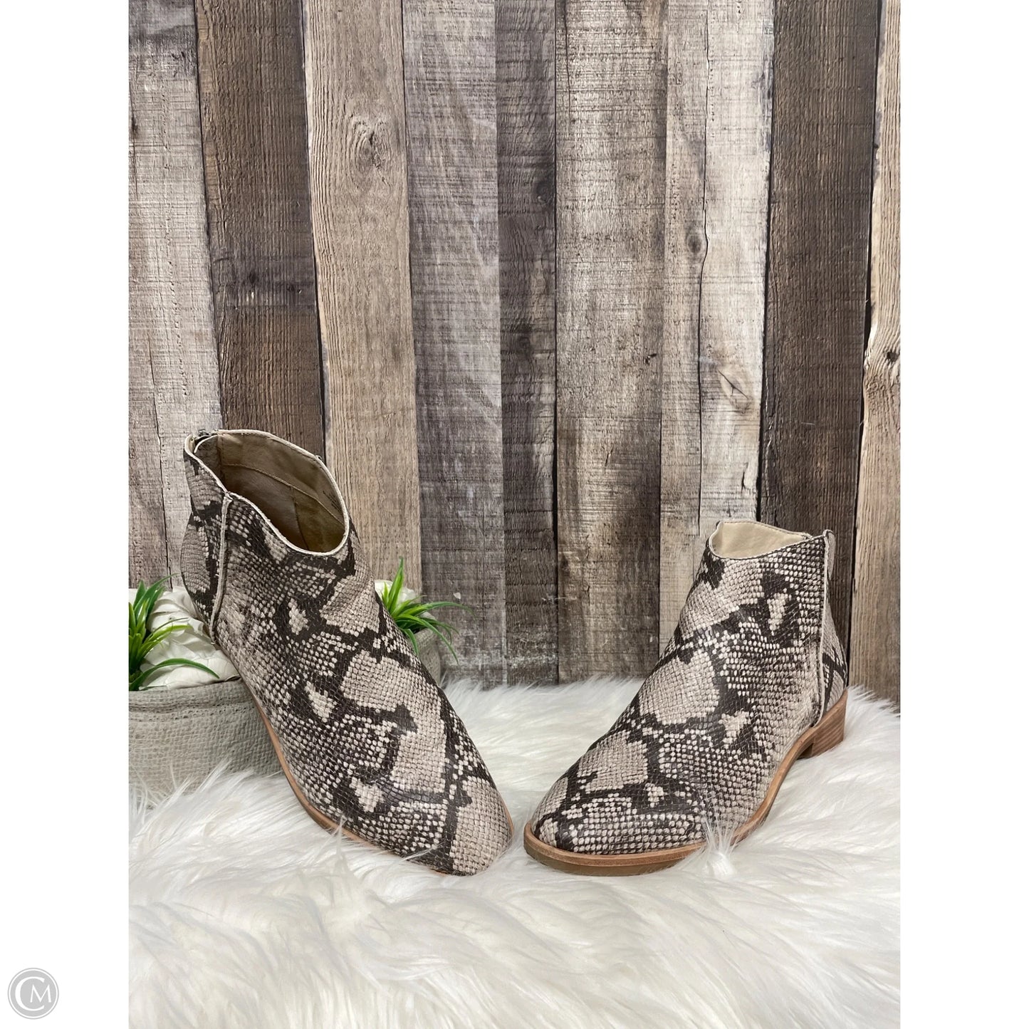 Boots Ankle Heels By Dolce Vita In Snakeskin Print, Size: 11