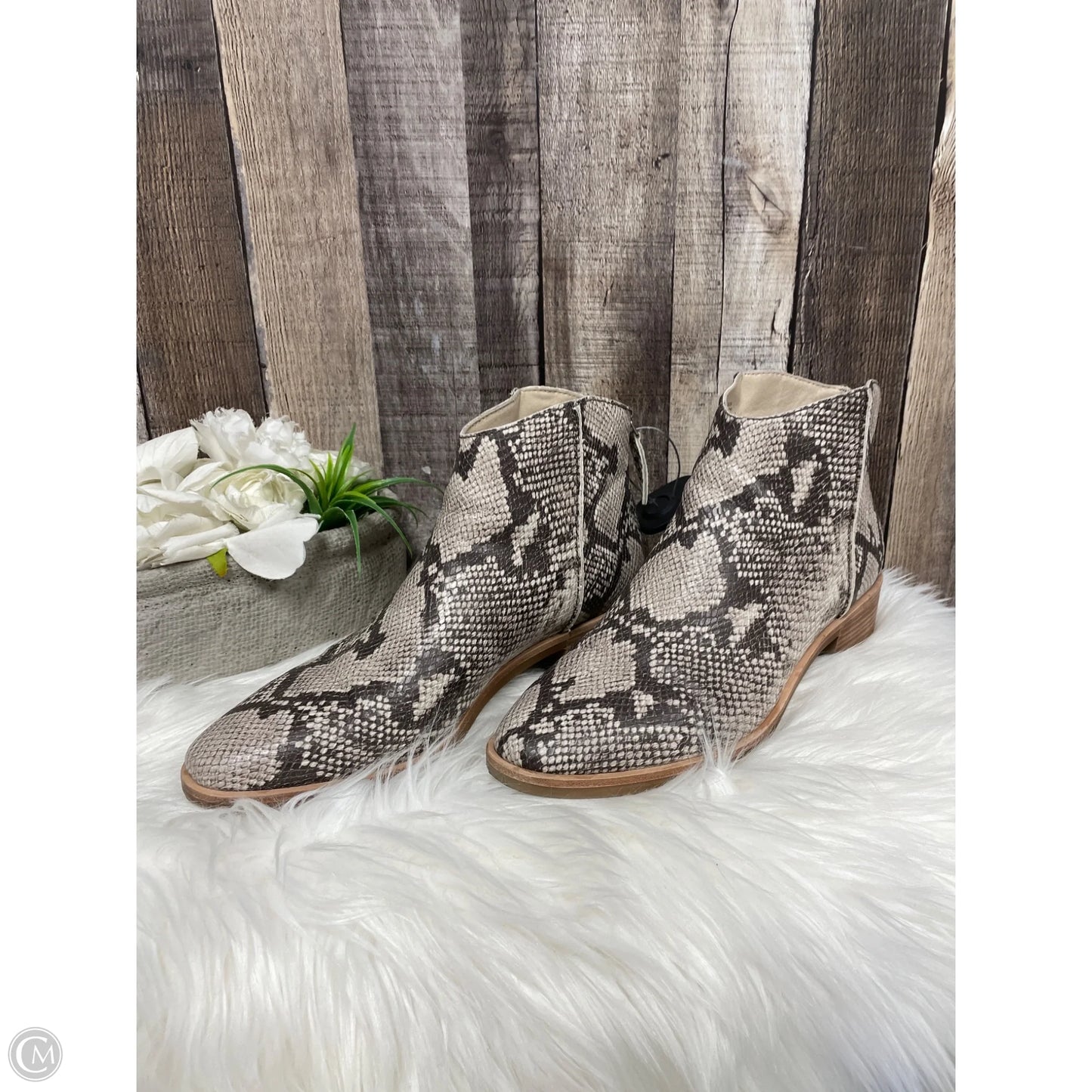 Boots Ankle Heels By Dolce Vita In Snakeskin Print, Size: 11