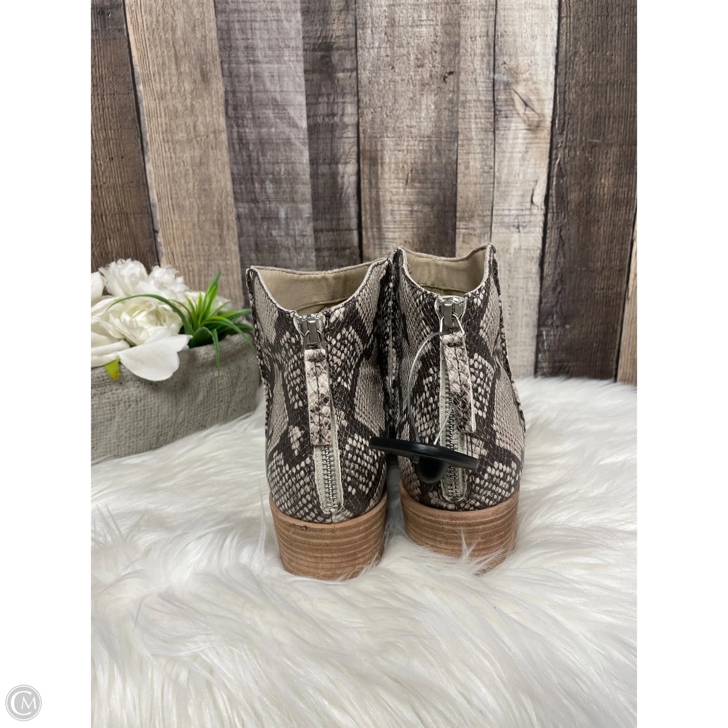 Boots Ankle Heels By Dolce Vita In Snakeskin Print, Size: 11