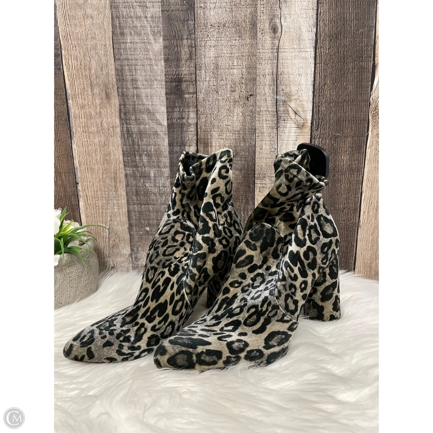 Boots Ankle Heels By Cmf In Snakeskin Print, Size: 8