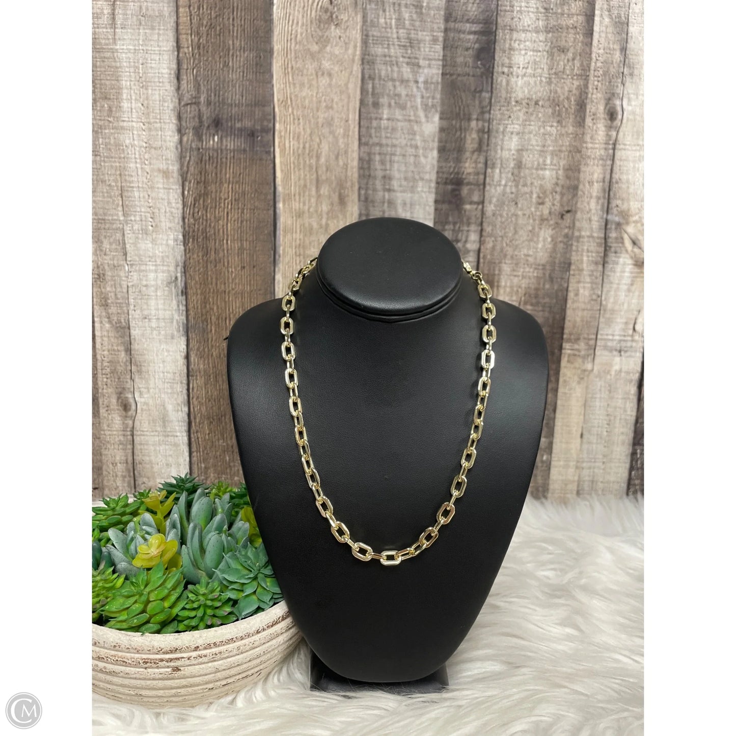 Necklace Chain By Kendra Scott