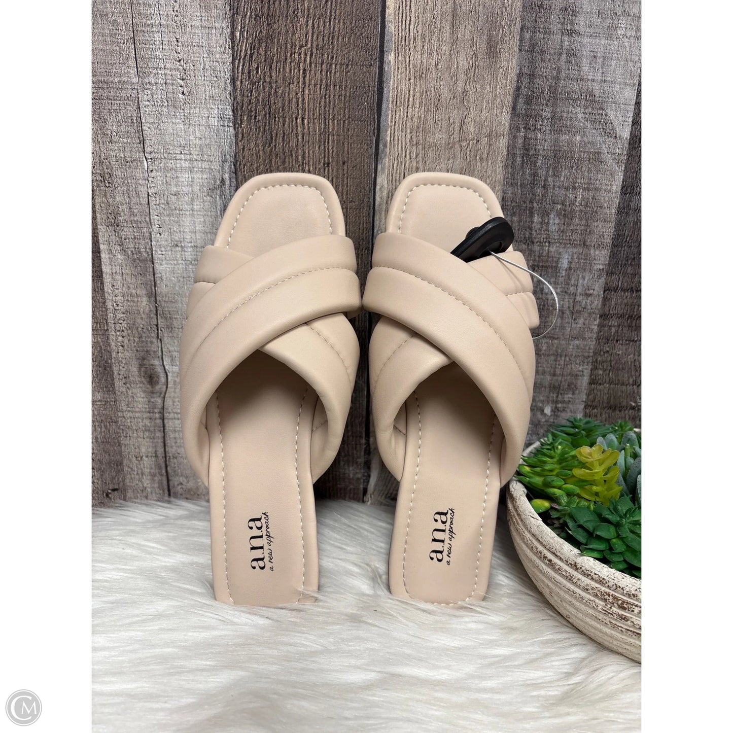 Shoes Flats By Ana In Tan, Size: 8