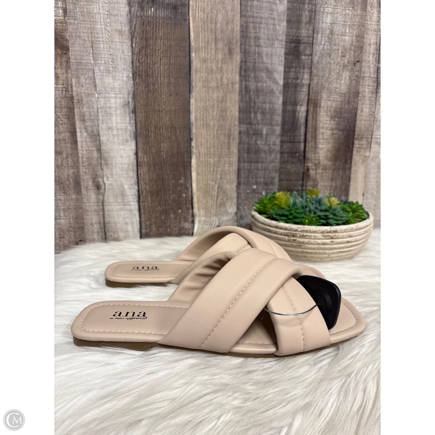 Shoes Flats By Ana In Tan, Size: 8