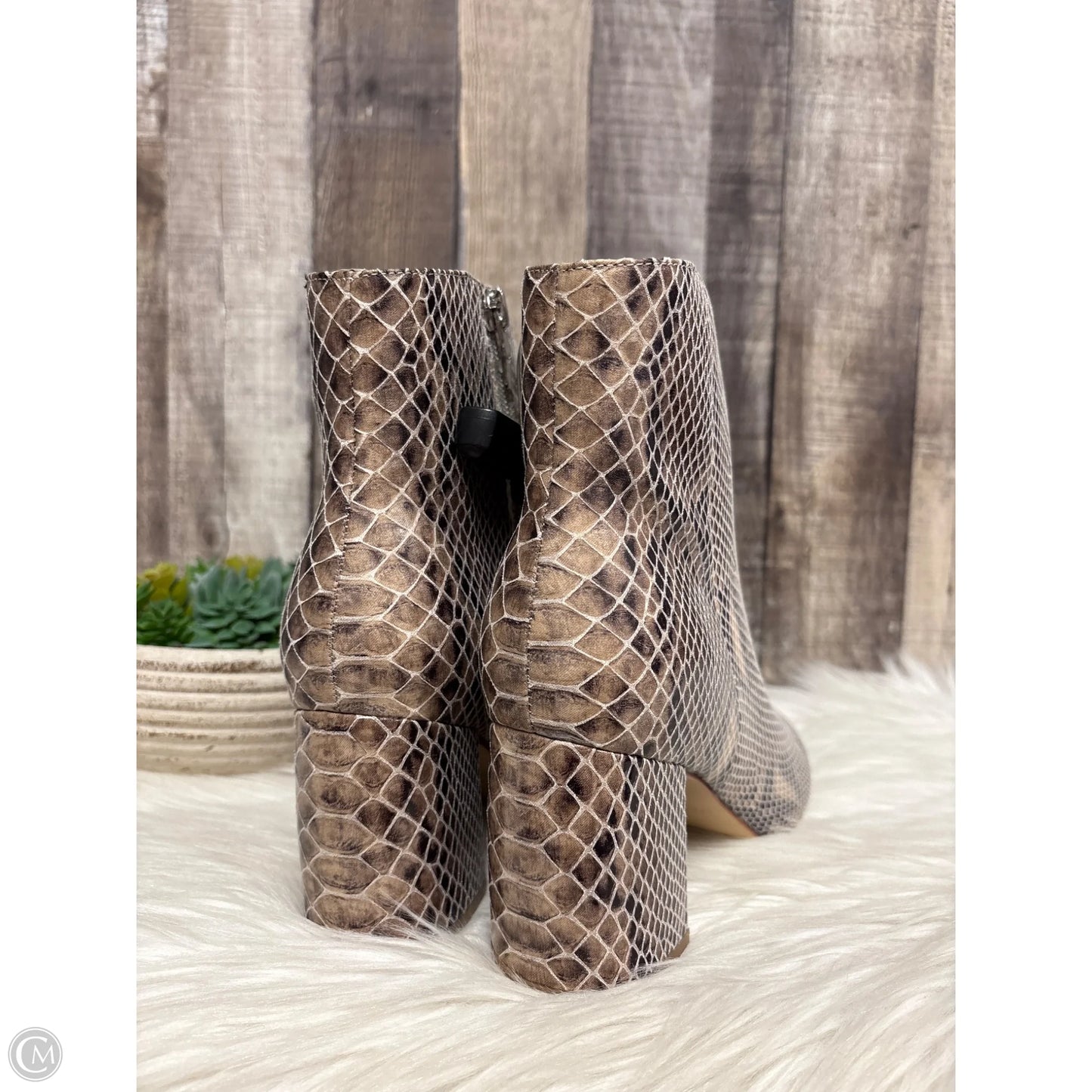 Boots Ankle Heels By Marc Fisher In Snakeskin Print, Size: 8