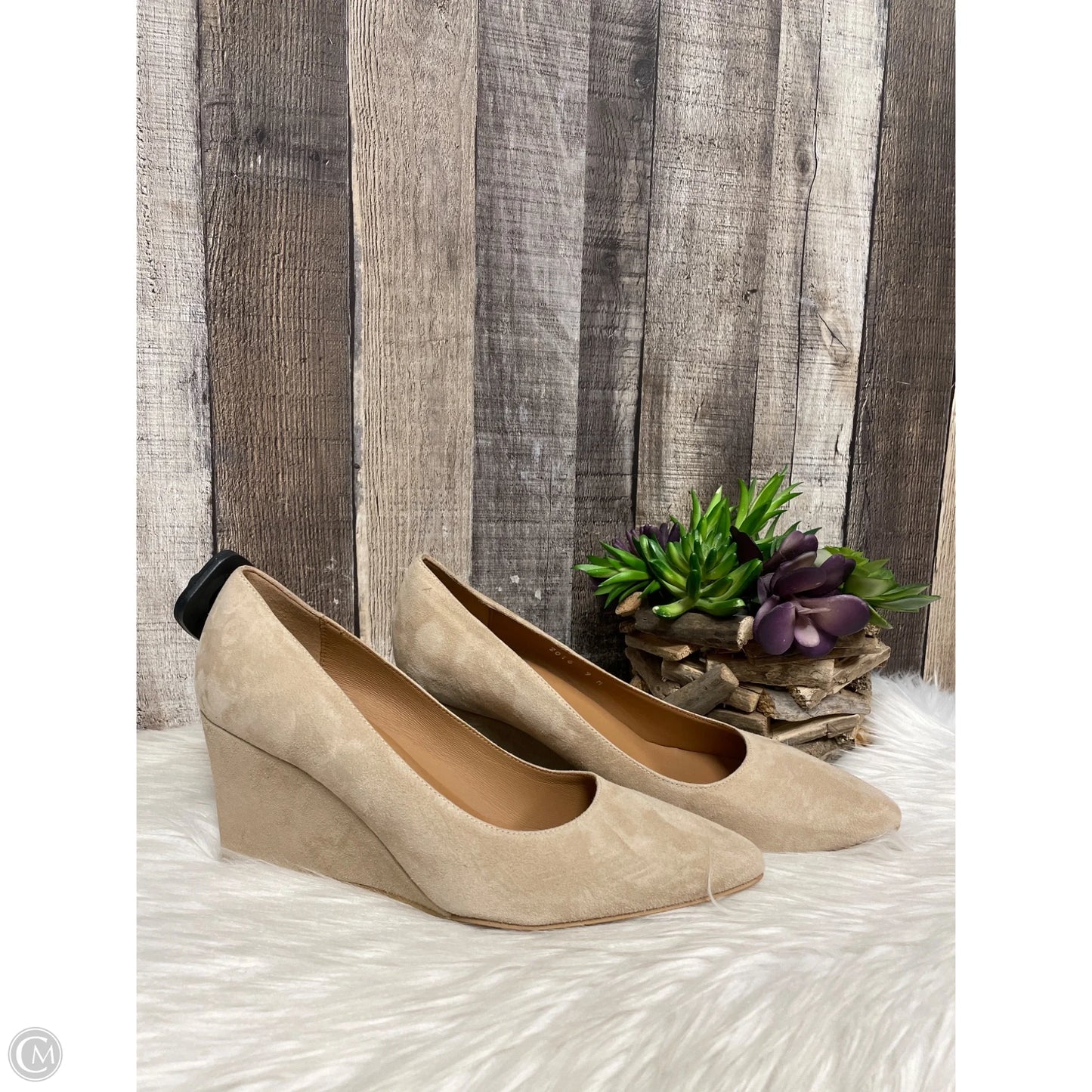 Shoes Heels Wedge By Aquatalia In Tan, Size: 9