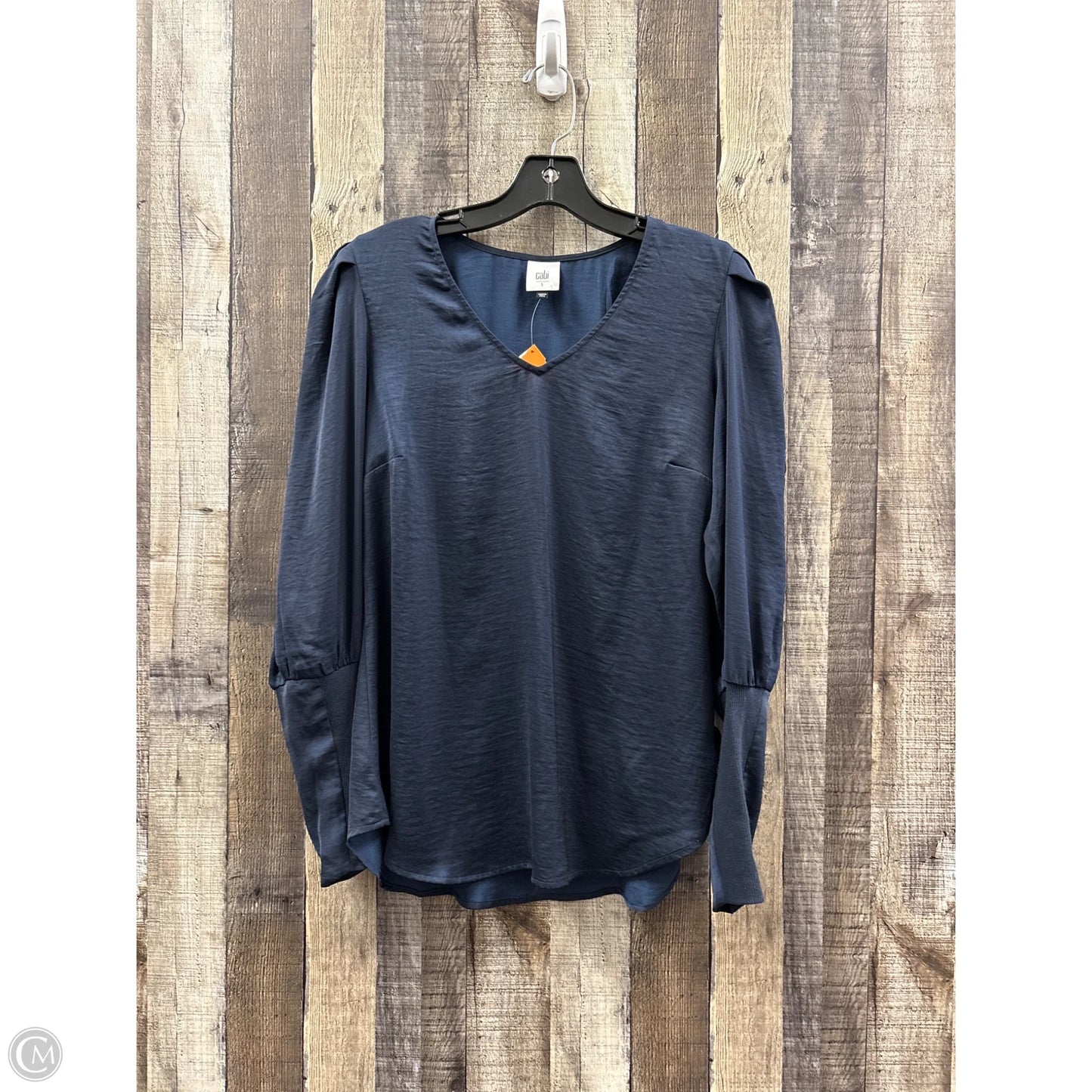 Top Long Sleeve By Cabi In Blue, Size: S