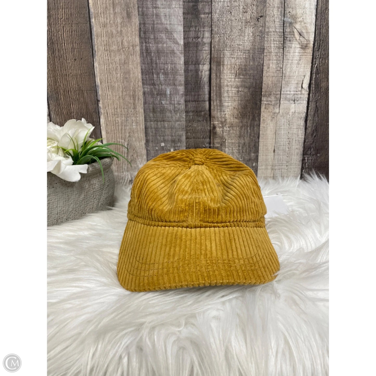 Hat Baseball Cap By Madewell