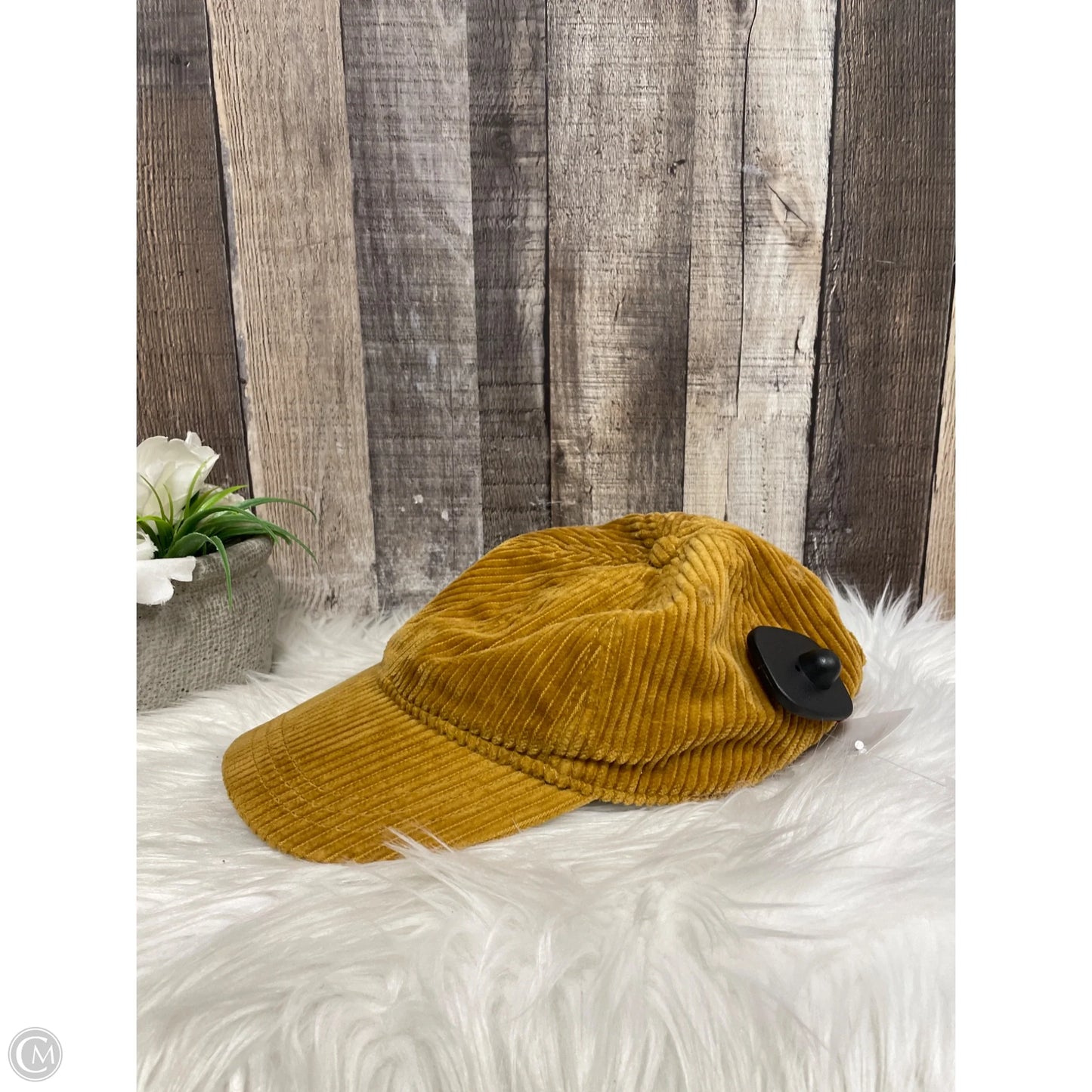 Hat Baseball Cap By Madewell