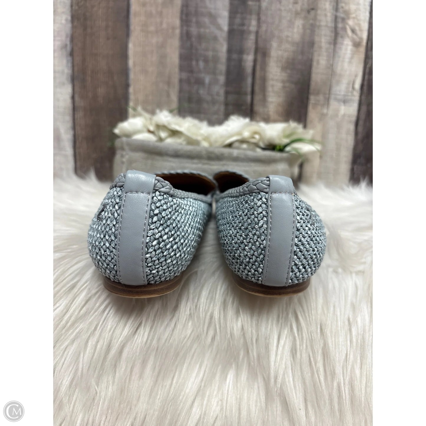 Shoes Flats By Zodiac In Blue, Size: 8