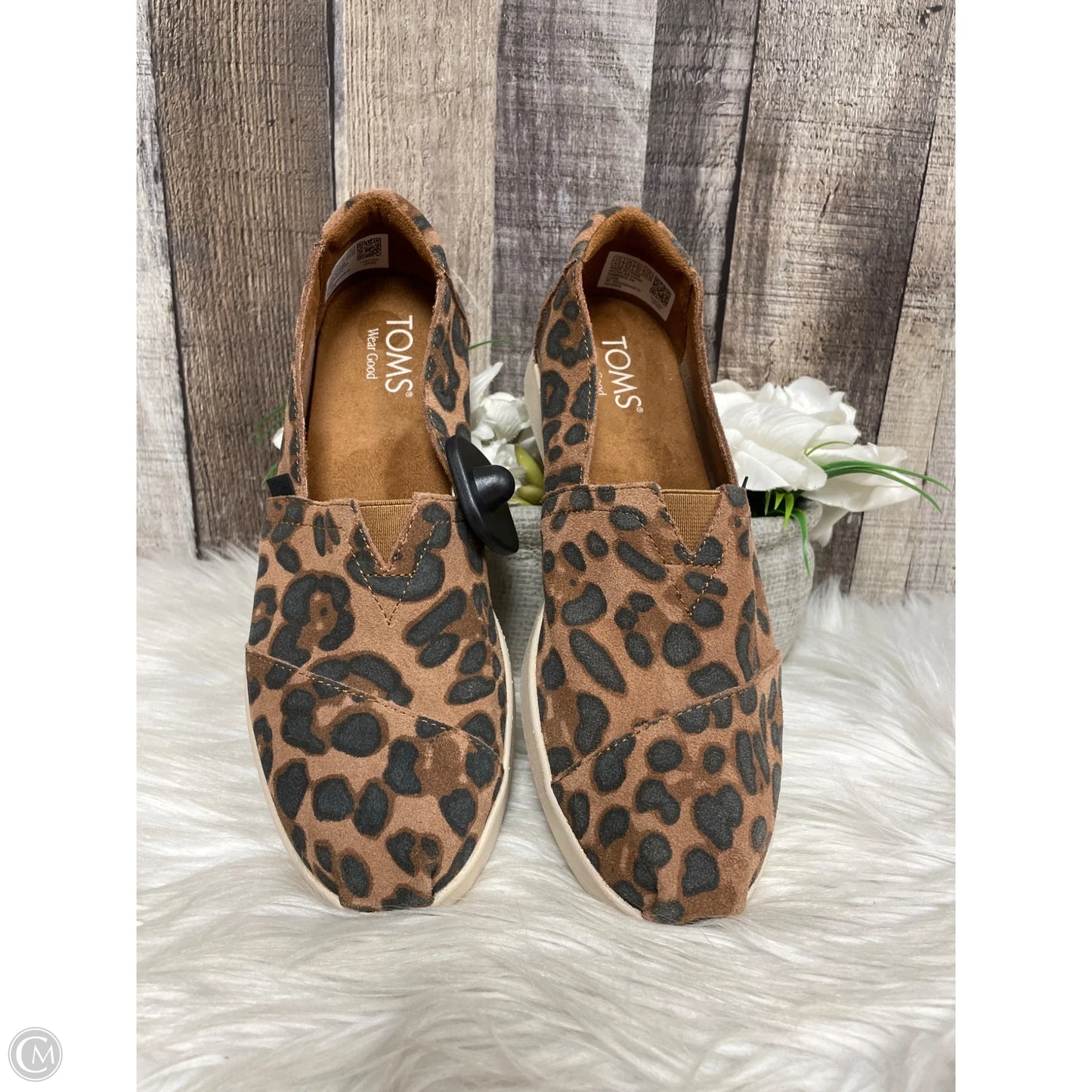 Shoes Flats By Toms In Animal Print, Size: 6.5