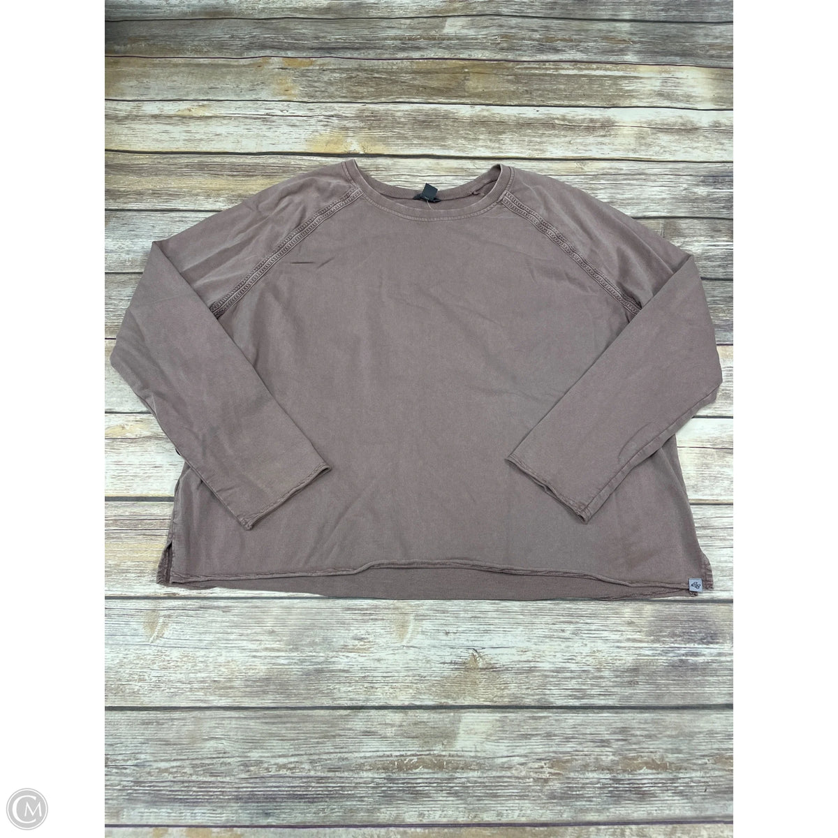 Top Long Sleeve By Eddie Bauer In Brown, Size: 2x