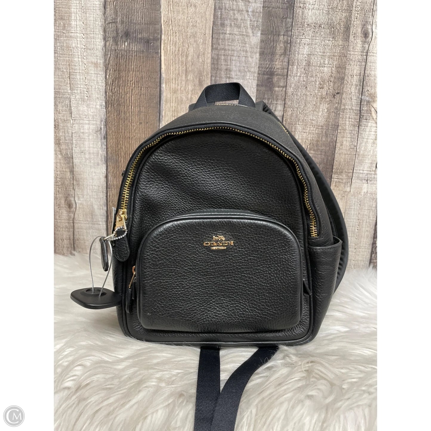 Backpack Designer By Coach, Size: Small