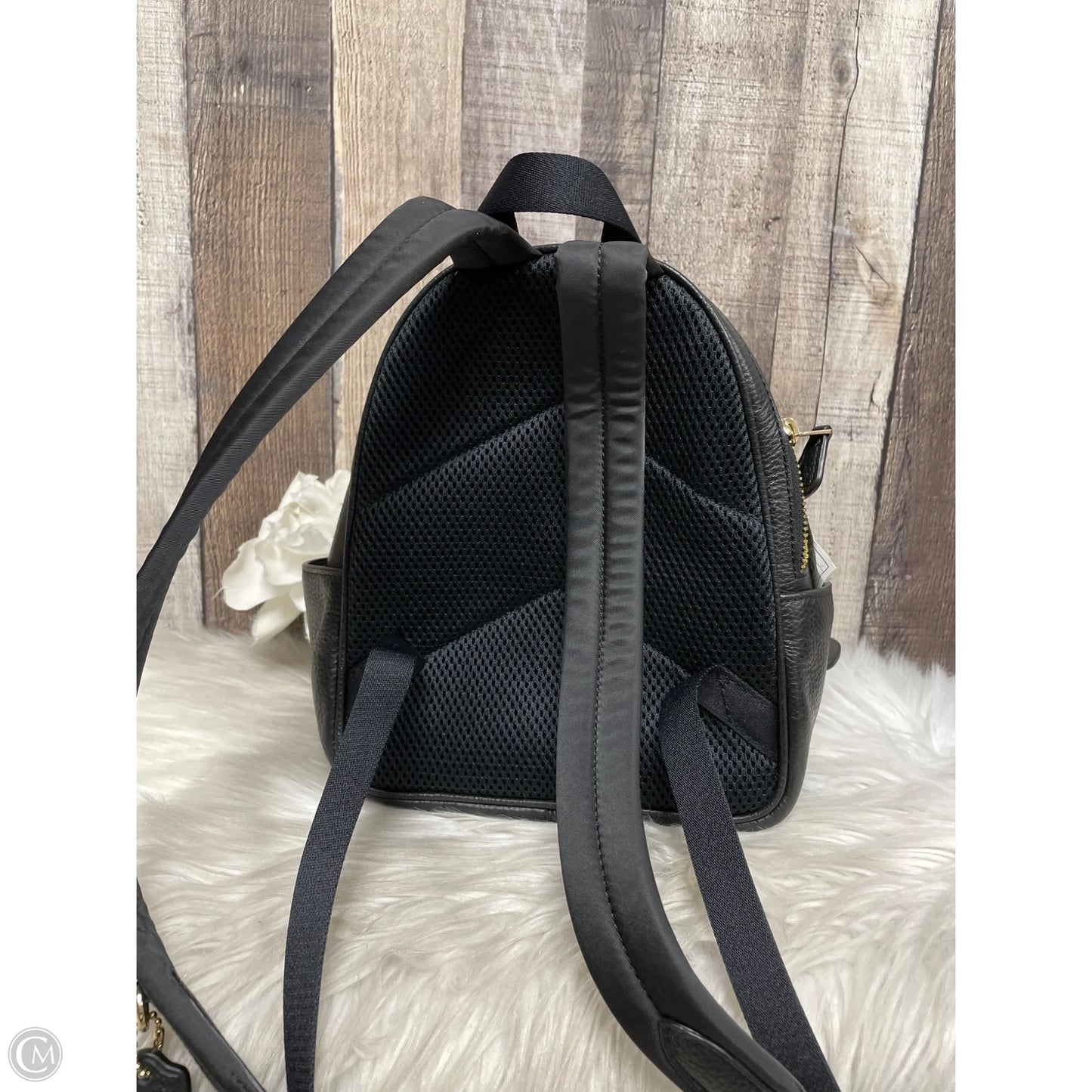 Backpack Designer By Coach, Size: Small