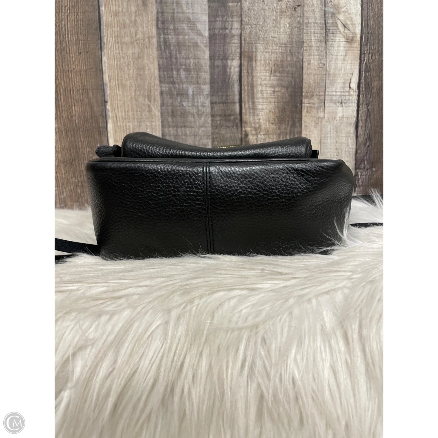 Backpack Designer By Coach, Size: Small