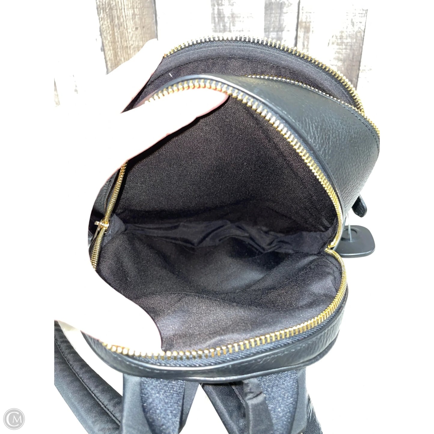 Backpack Designer By Coach, Size: Small