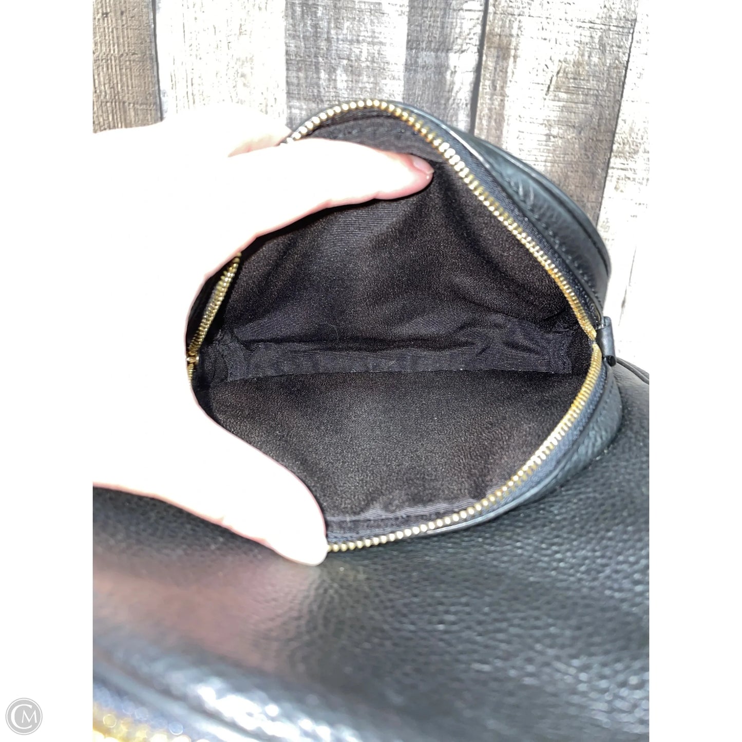 Backpack Designer By Coach, Size: Small