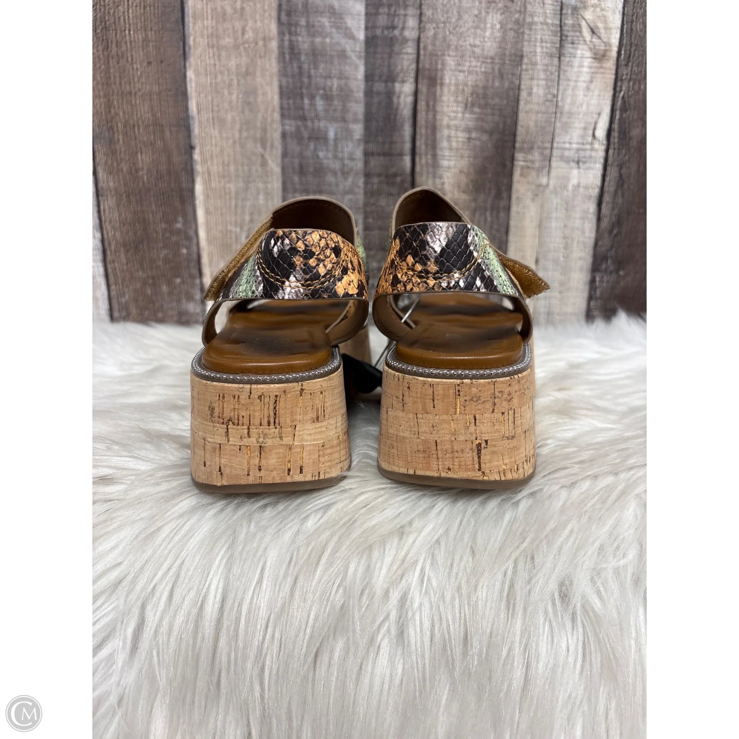 Sandals Heels Platform By Franco Sarto In Snakeskin Print, Size: 7