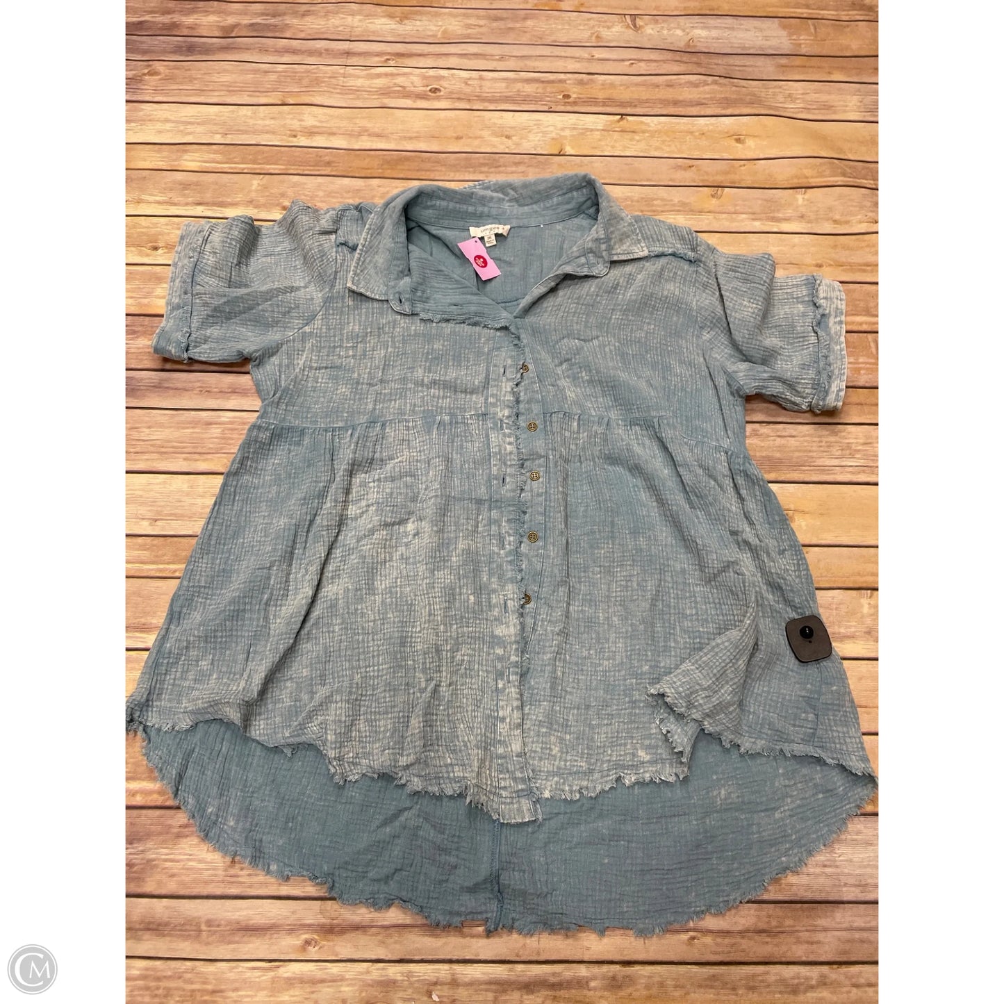 Top Short Sleeve By Umgee In Blue, Size: 2x