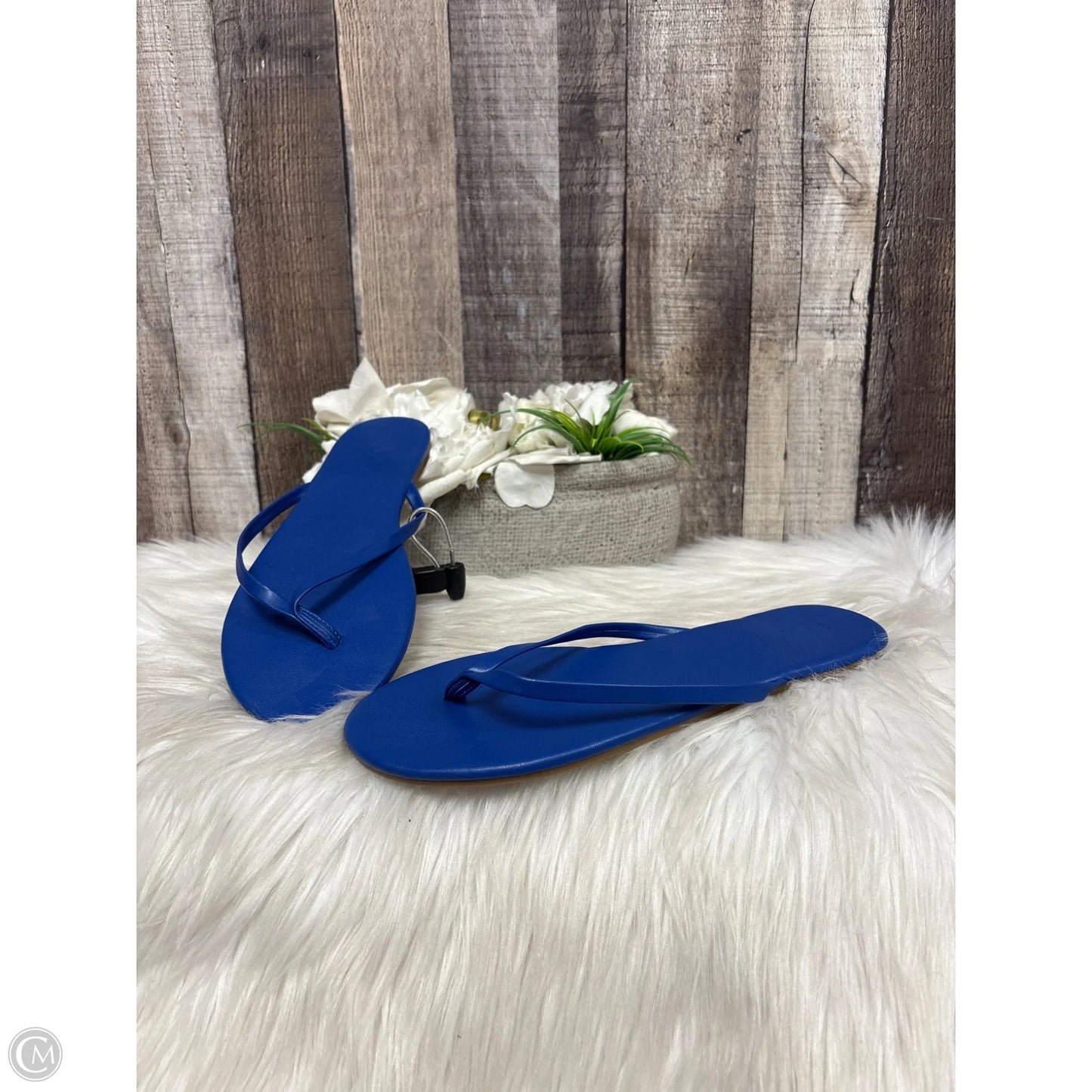 Sandals Flats By Loft In Blue, Size: 7
