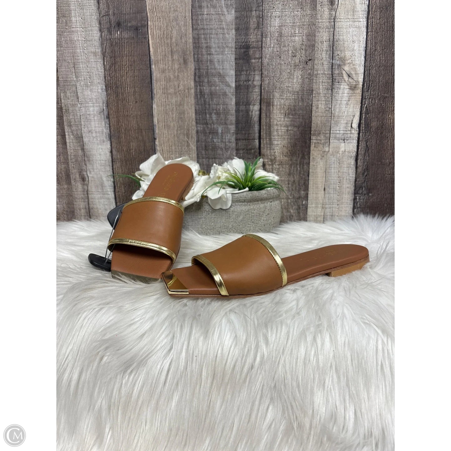 Sandals Flats By Cmb In Brown, Size: 8