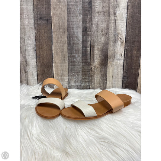 Sandals Flats By Dolce Vita In Multi-colored, Size: 8