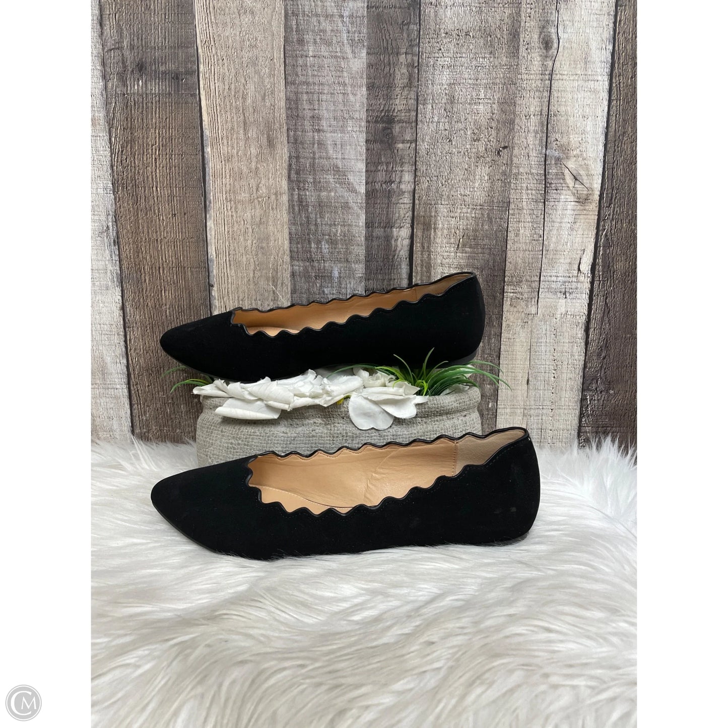 Shoes Flats By Xappeal In Black, Size: 10