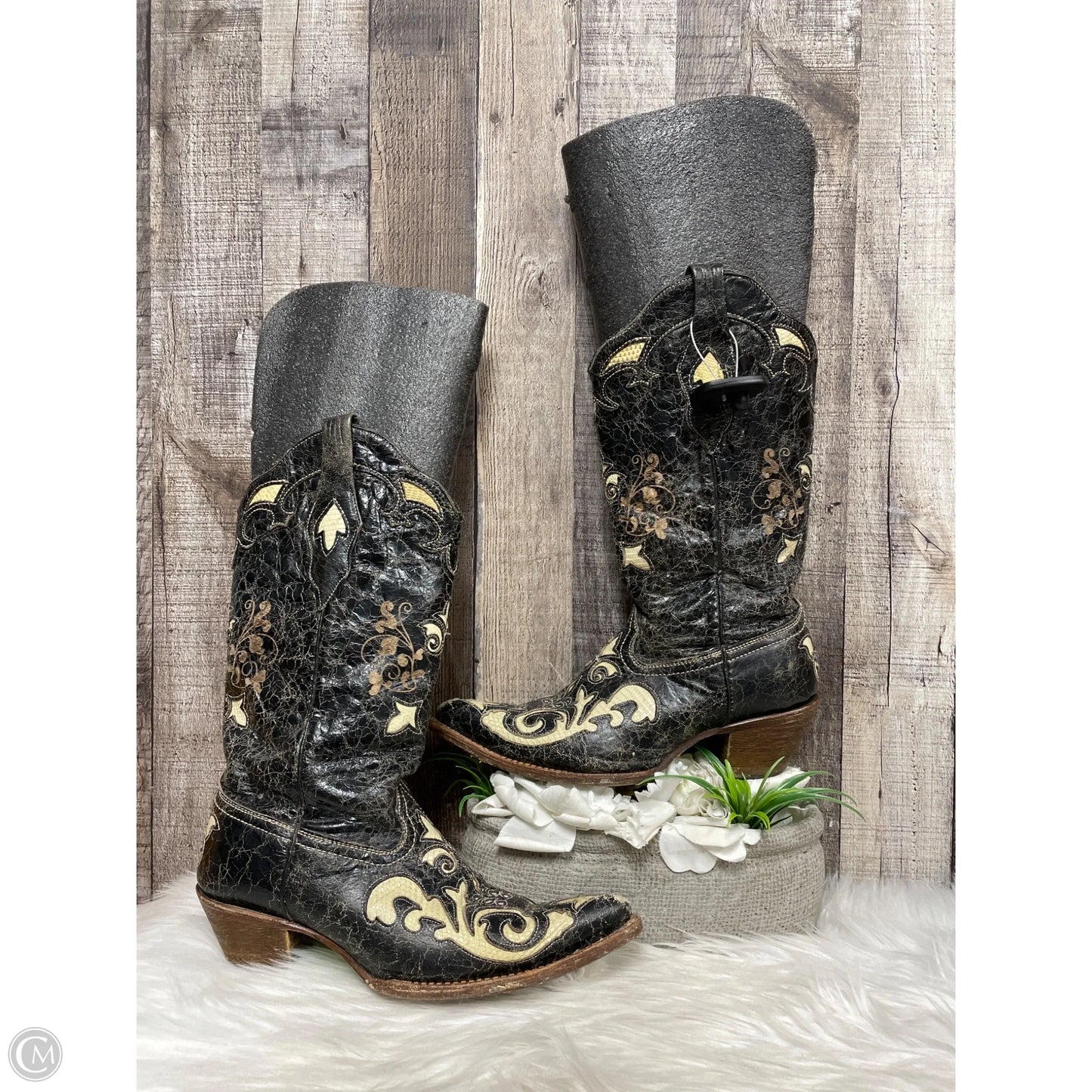 Boots Western By Corral In Black, Size: 7.5