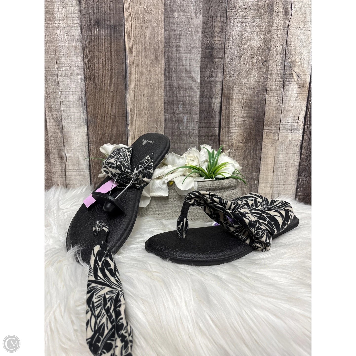 Sandals Flats By Sanuk In Black, Size: 8