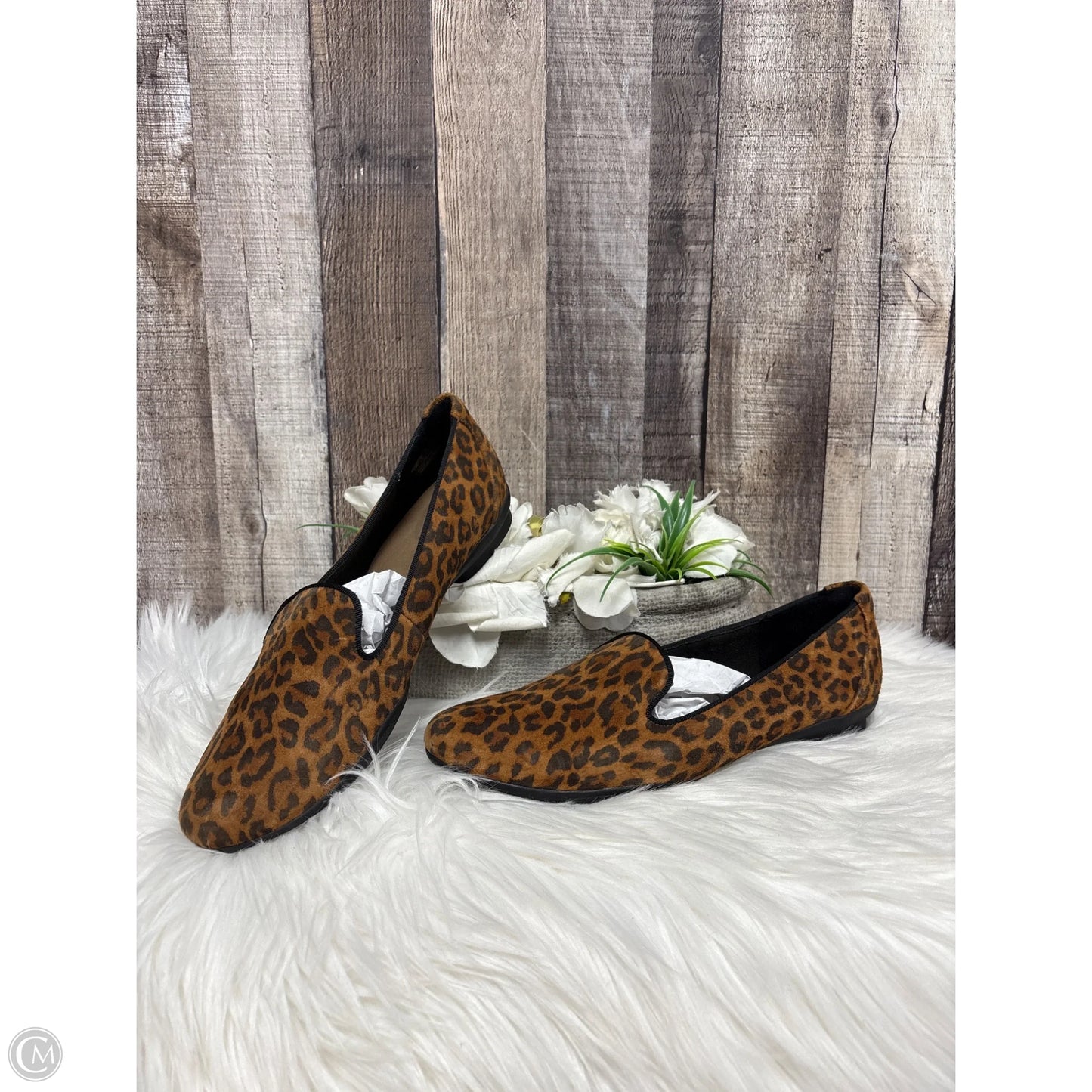 Shoes Flats By Clarks In Animal Print, Size: 8.5