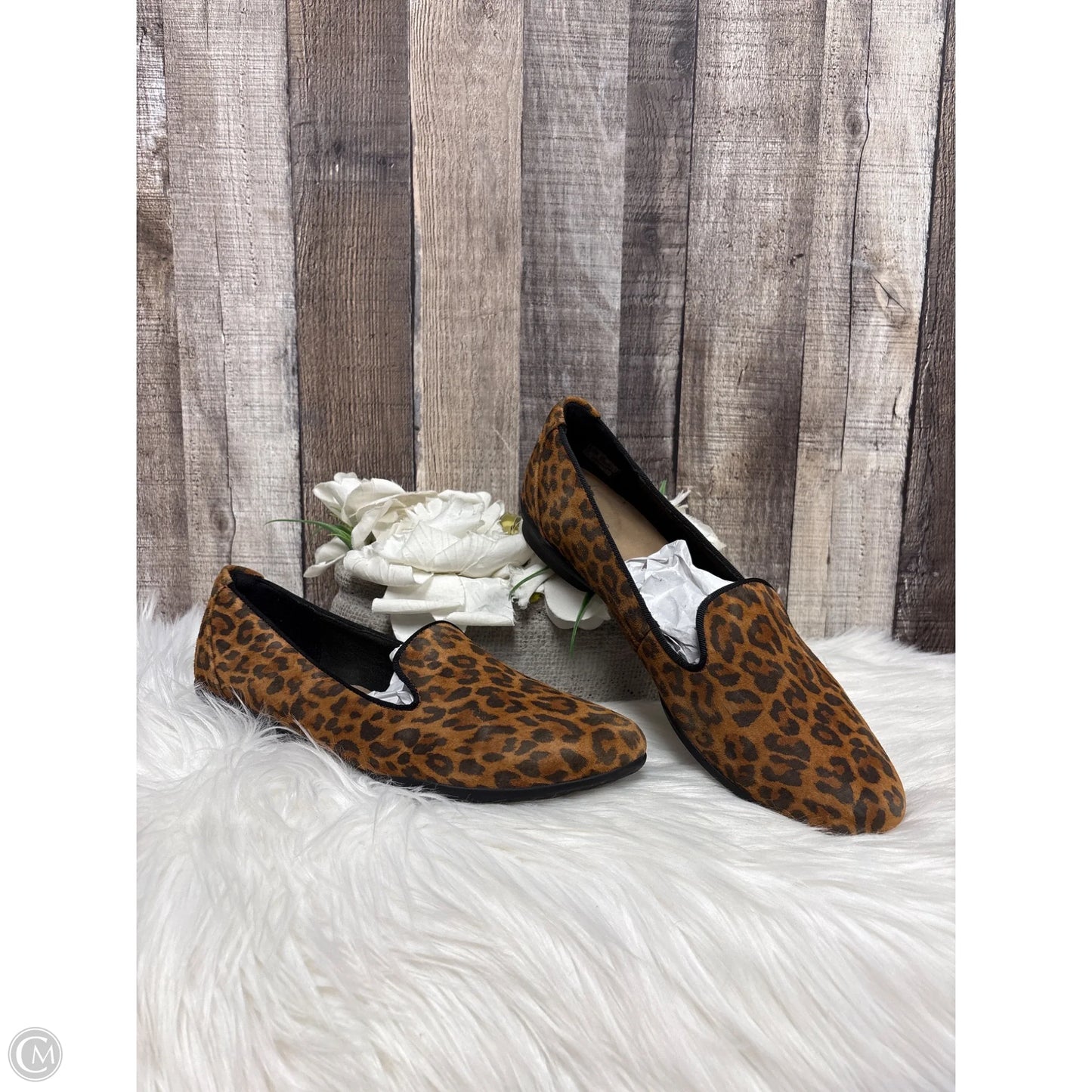 Shoes Flats By Clarks In Animal Print, Size: 8.5
