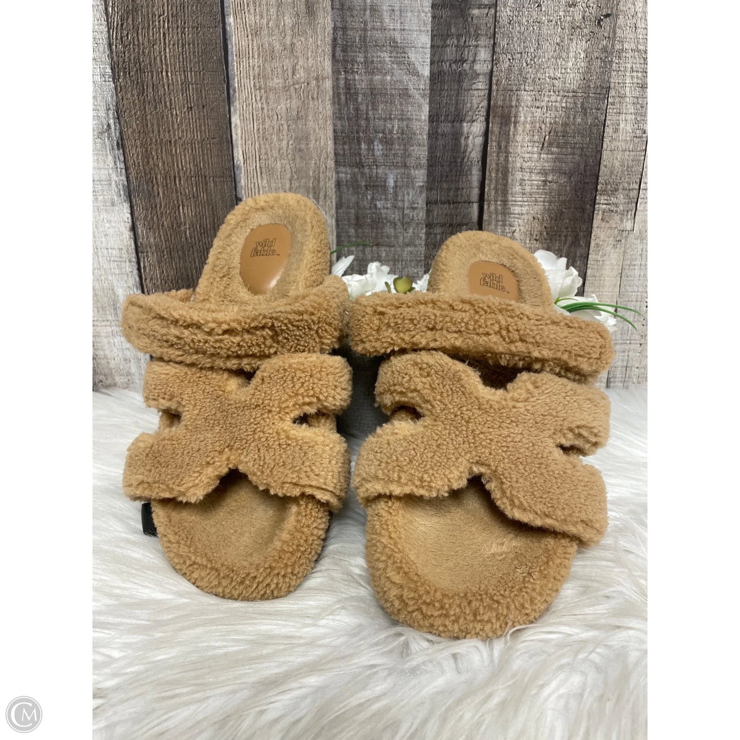 Sandals Flats By Wild Fable In Brown, Size: 7