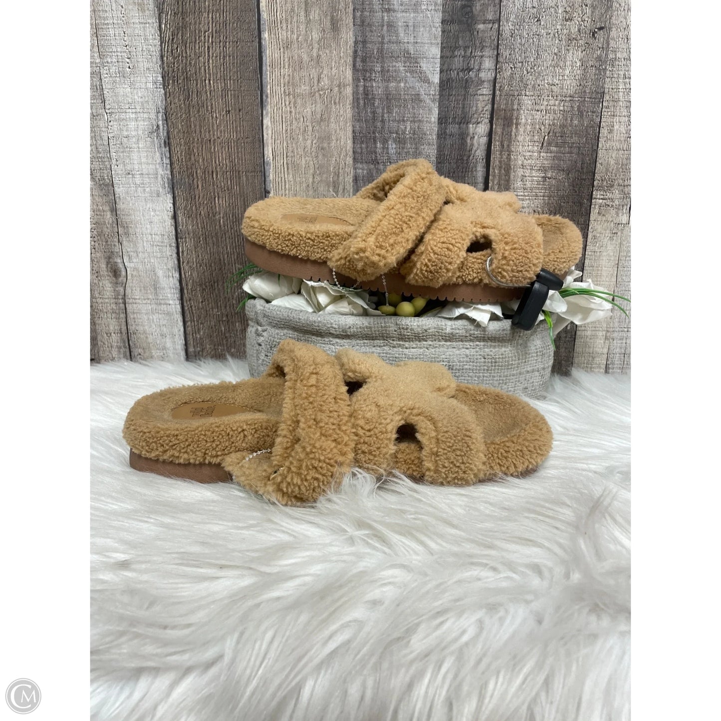 Sandals Flats By Wild Fable In Brown, Size: 7