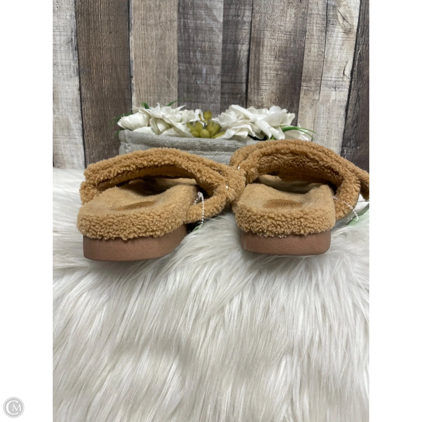 Sandals Flats By Wild Fable In Brown, Size: 7