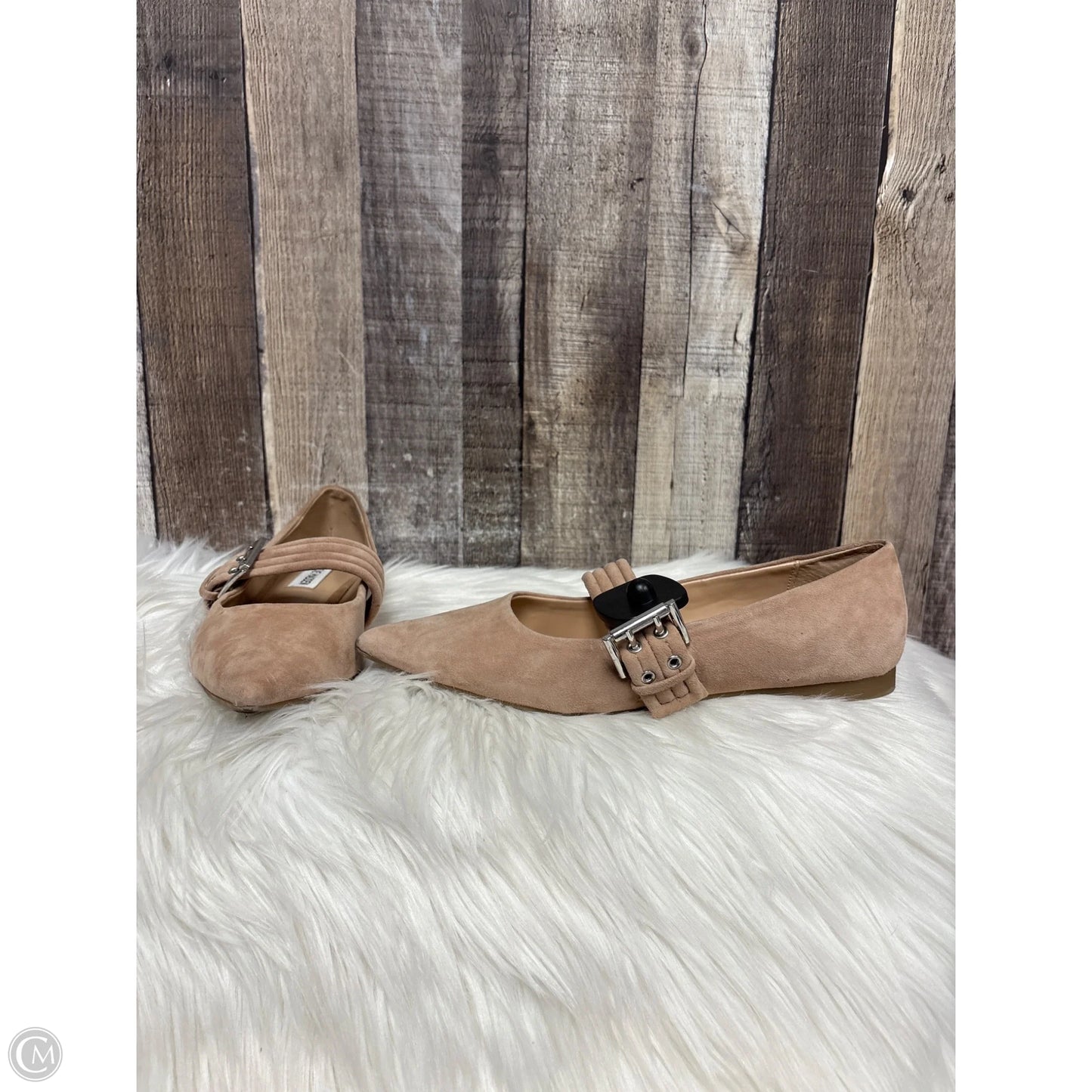 Shoes Flats By Steve Madden In Tan, Size: 8
