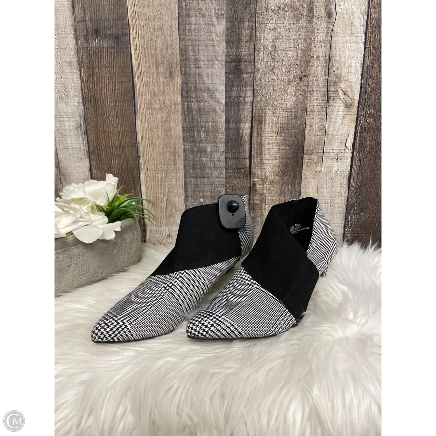 Shoes Heels Kitten By Andrew Gellar In Black & White, Size: 7.5