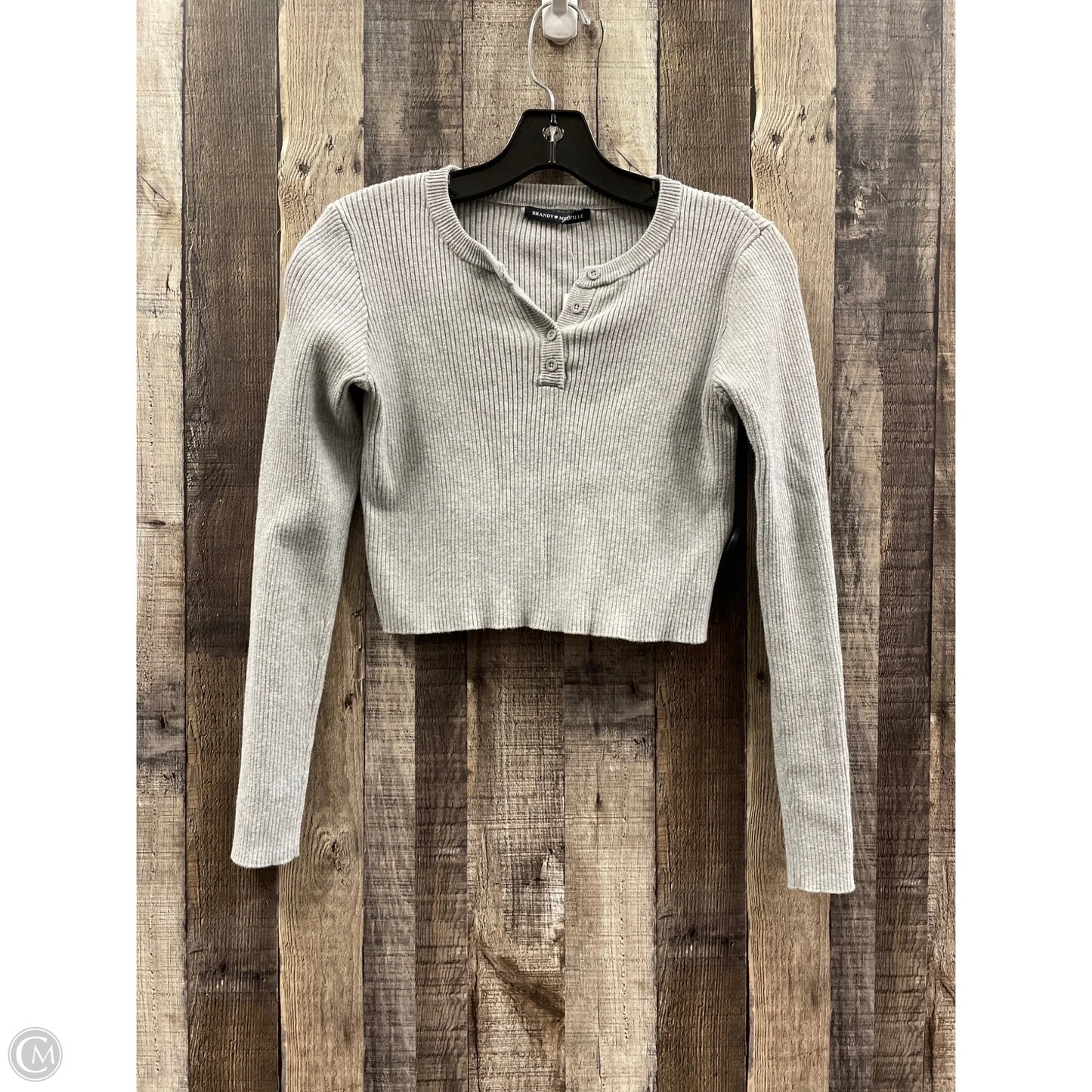 Top Long Sleeve By Brandy Melville In Grey, Size: Osfm