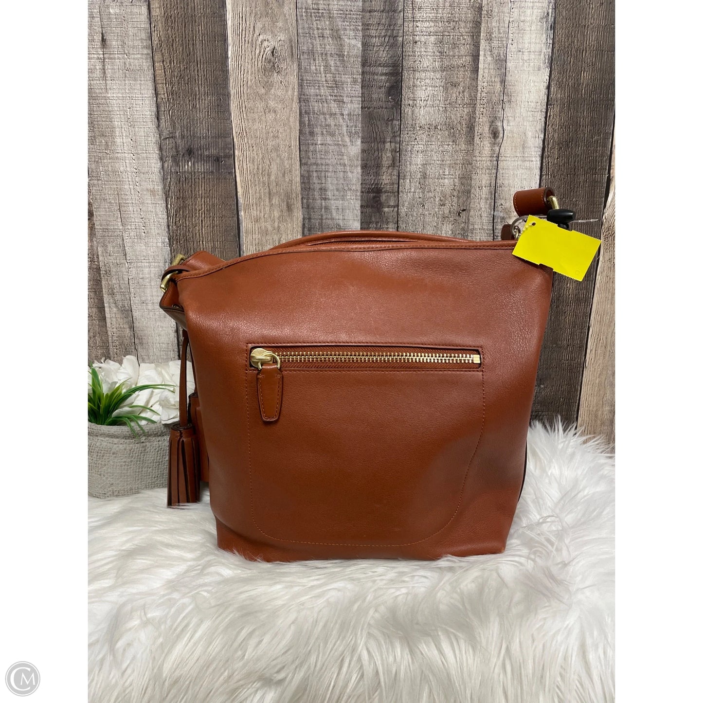 Crossbody Designer By Coach, Size: Large