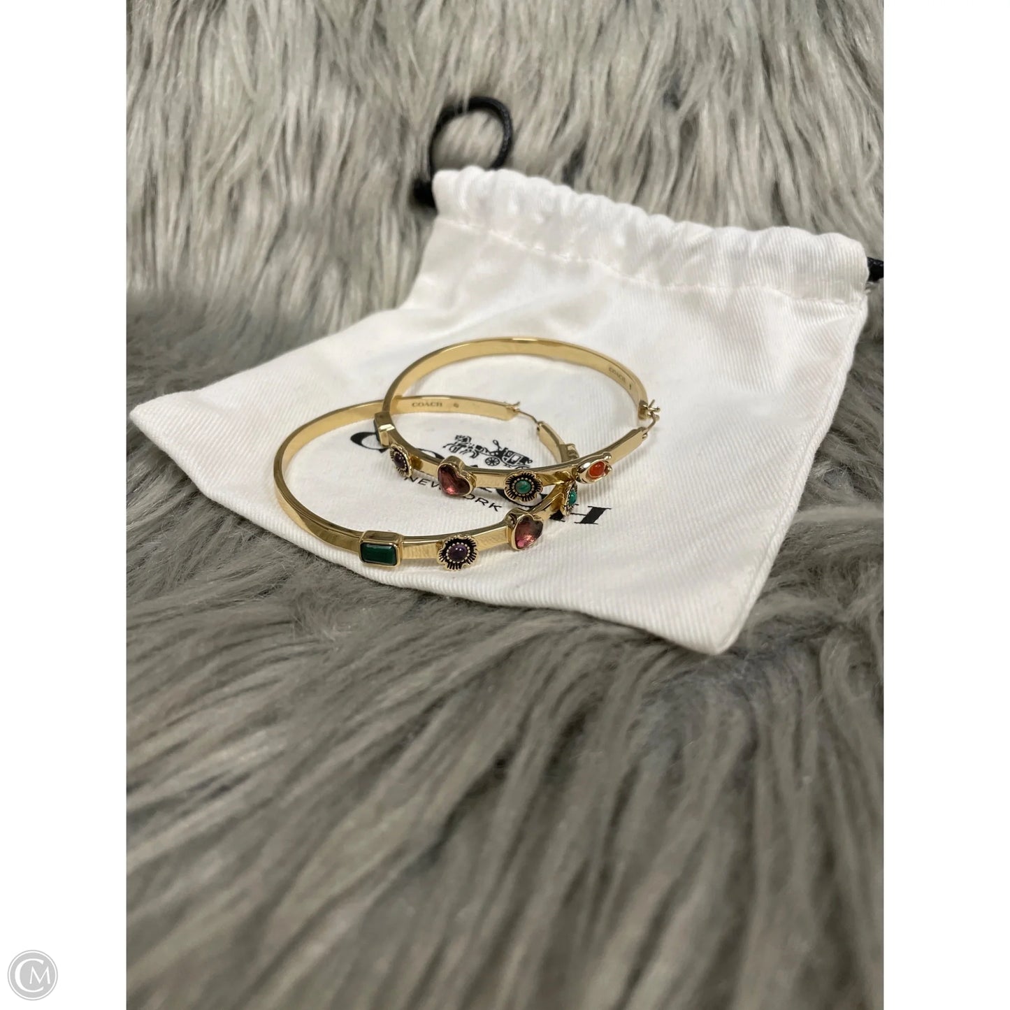 Earrings Designer By Coach