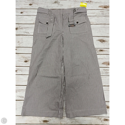 Pants Cropped By Loft In Brown & White, Size: 12